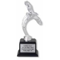 Silver Eagle Trophy